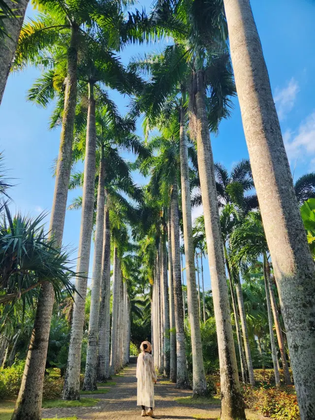 ว่านหนิง เกาะไห่หนาน | ผู้คนน้อย วิวสวย คุ้มค่า