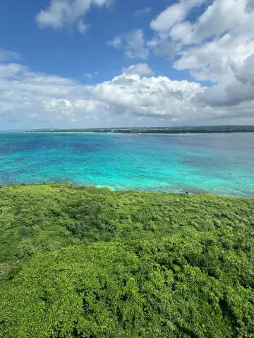 4日暢遊日本 人均僅需3k秘笈