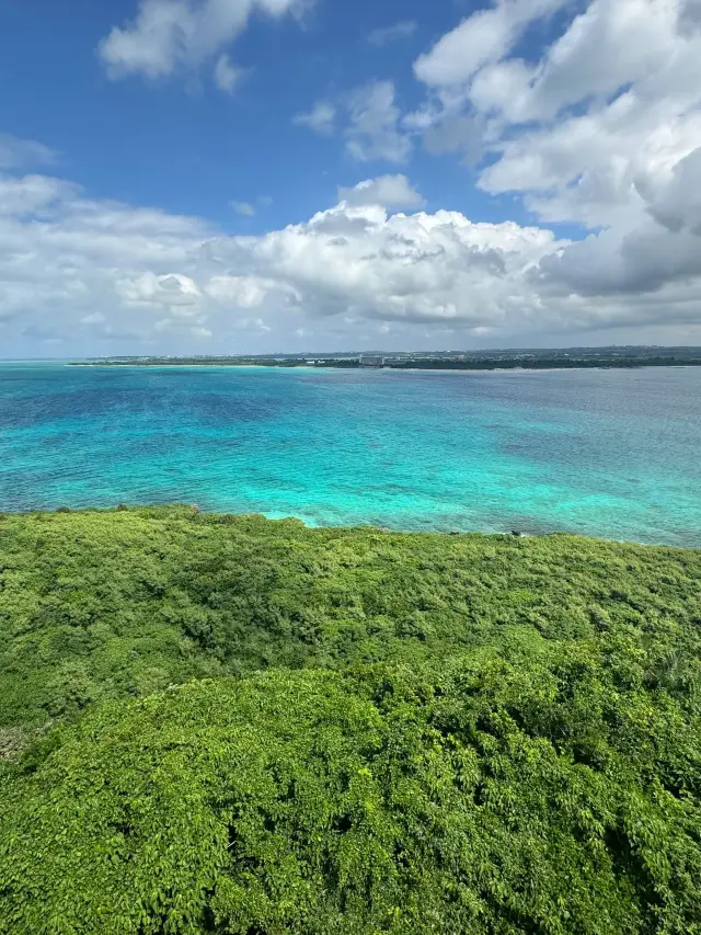 4일간의 일본 여행, 1인당 3천 위안으로 즐기는 비법