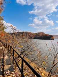 吉林延邊|紅石峰國家森林公園•冬日落葉凋零的美