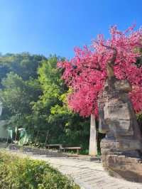 遼陽太子島十里畫廊：如詩如畫的夢幻仙境