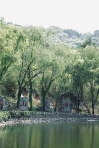 登山吸氧｜蒙山·養心度假酒店