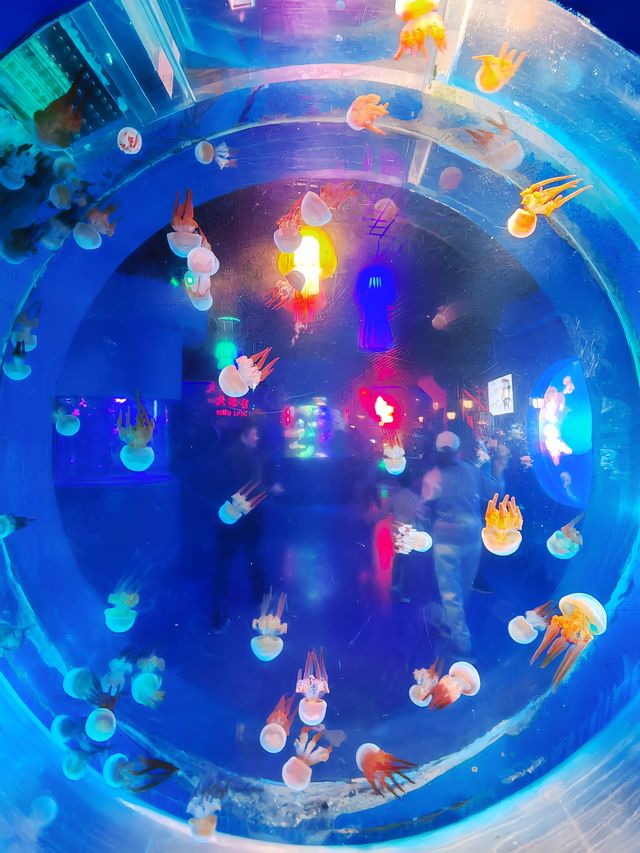 太平洋漢海海底世界