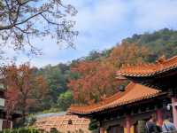 廣東新年何處去，紅葉首選圭峰山