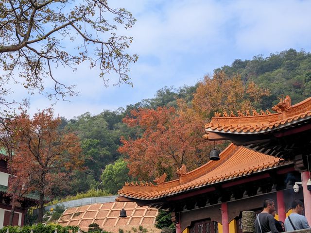 廣東新年何處去，紅葉首選圭峰山