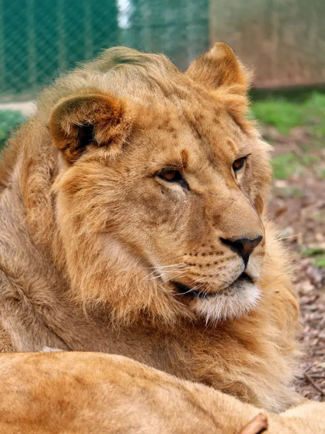 5-Day Yangtze River Cruise - Three Gorges Dam - Chongqing