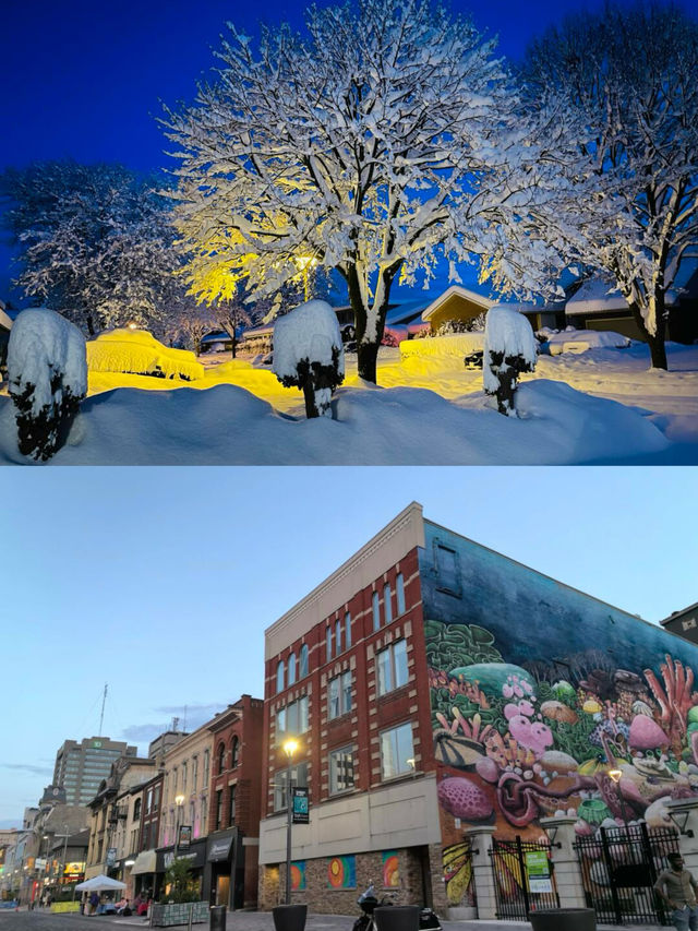 安大略省倫敦：藏在加拿大的寶藏森林城市