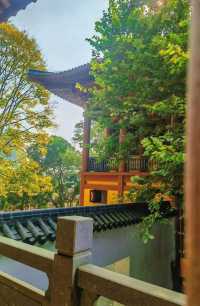 貴港南山寺，讓你心靈淨化的地方！