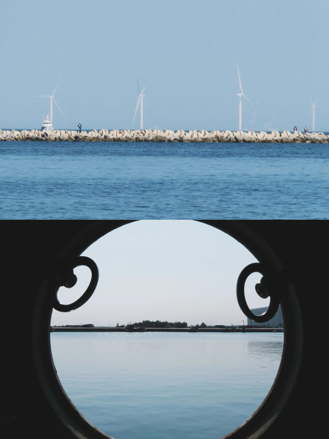 原生態的龍口桑島，村民以養海參為生