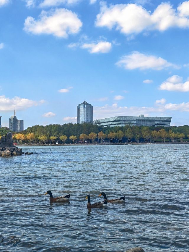 初秋的上海世紀公園