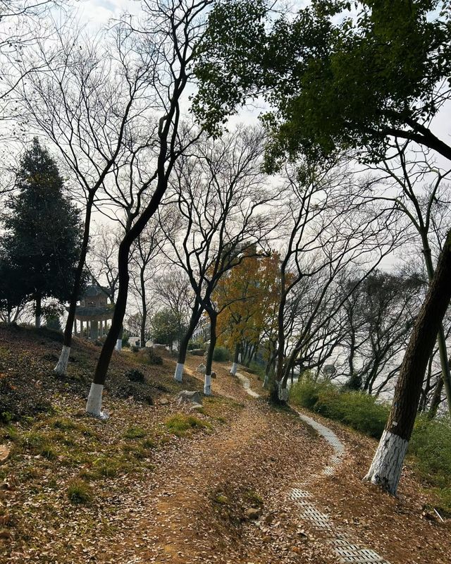 嘉興乍浦九龍山國家森林公園，一場自然與歷史的盛宴