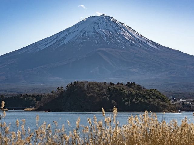 交換一張富士山的冬季照片！
