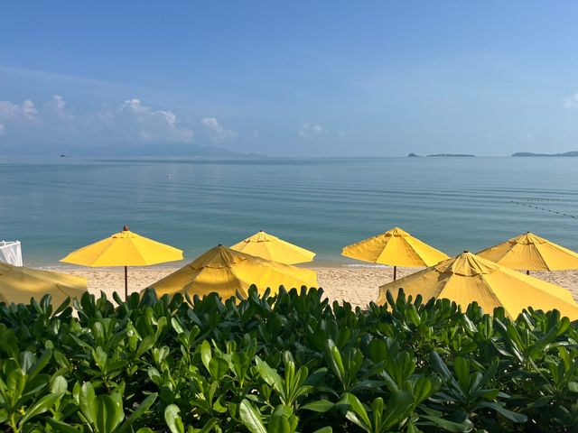 蘇梅島|和平度假村，悠閒的度假天堂