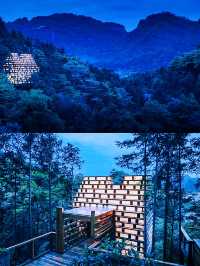 黃山旅遊打卡黃山森林中的童話精靈樹屋