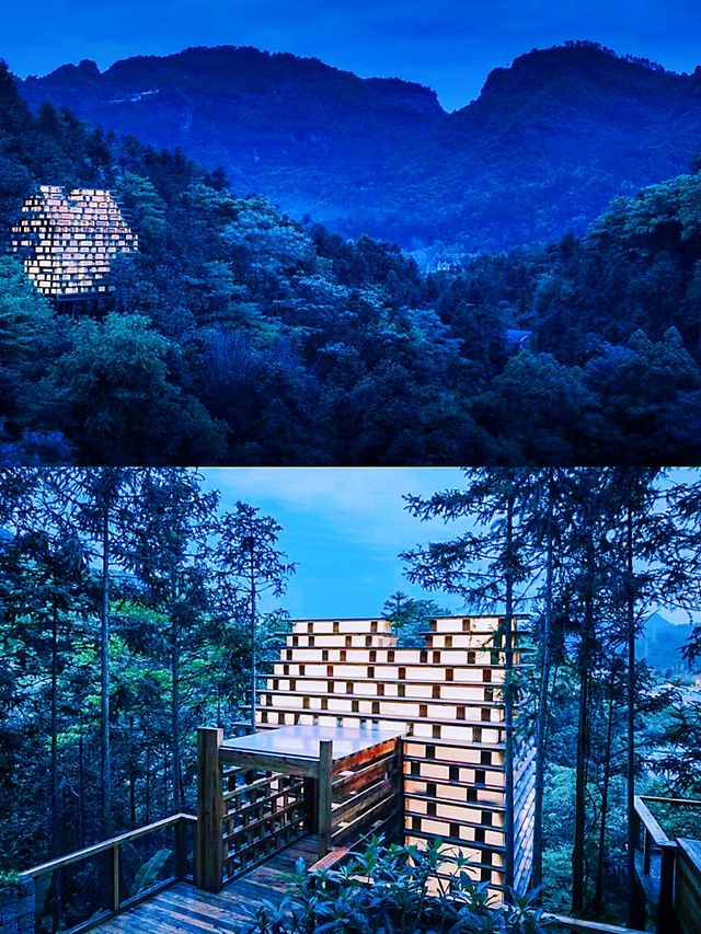 黃山旅遊打卡黃山森林中的童話精靈樹屋