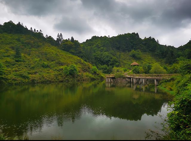 大北山國家森林公園｜揭陽的綠色寶藏，等你來「挖」