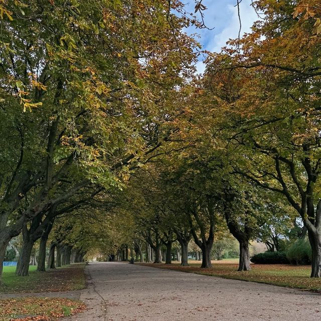 探秘阿爾伯特公園：米德爾斯堡的自然秘語