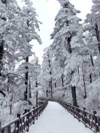瓦屋山不止有雪