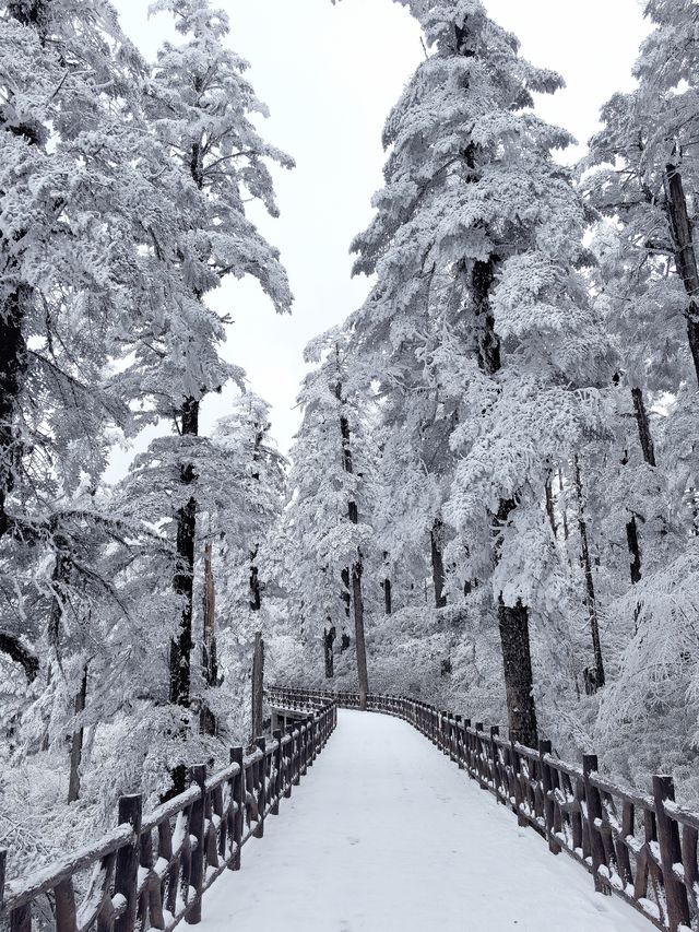 瓦屋山不止有雪