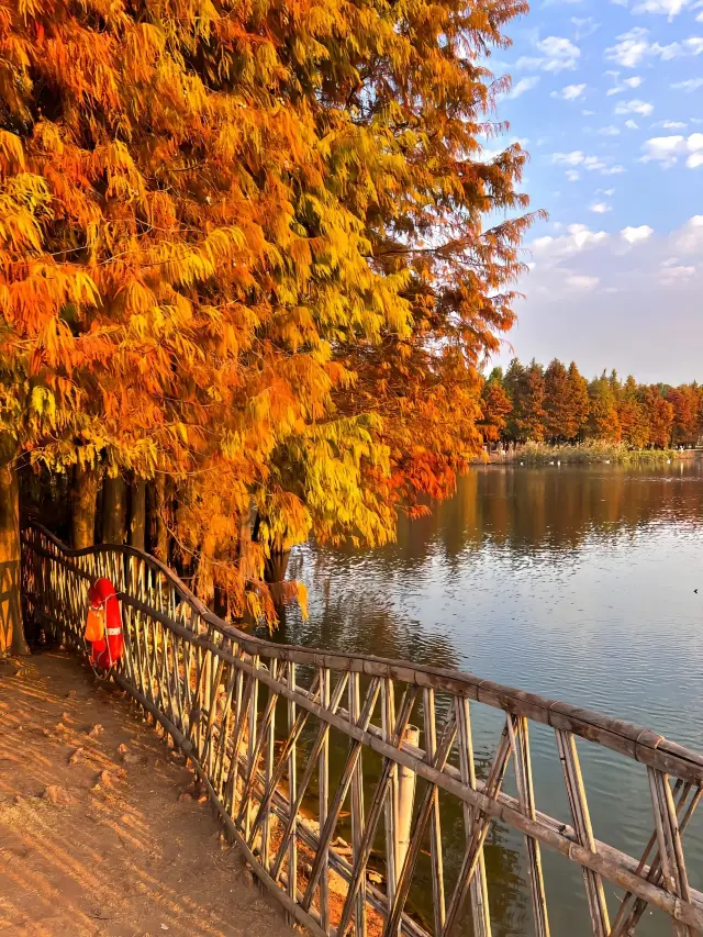 春節來廈門！！看這一篇就夠了！！！！！