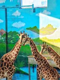 春節假期一定要來打卡的西霞口神雕山野生動物園
