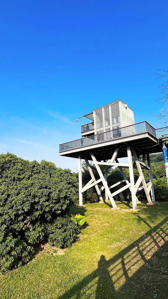 立新湖公園