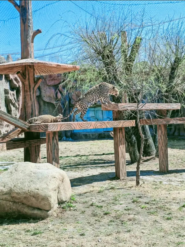龍沙動植物園：動植物們的可愛小天地