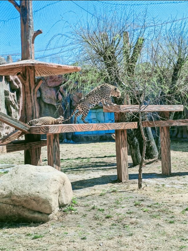龍沙動植物園：動植物們的可愛小天地