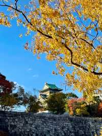 6日暢遊日本 盡享溫泉之旅