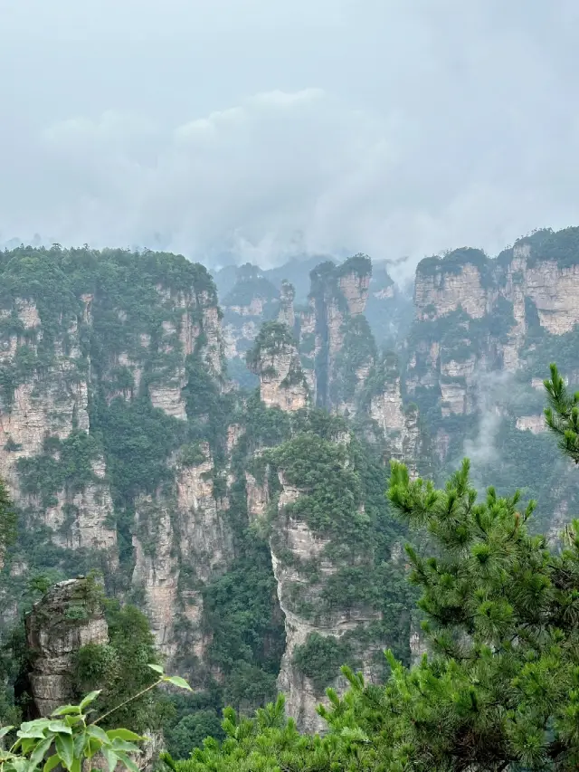 寒假遊玩張家界-大峽谷-天門山 超全攻略請收好