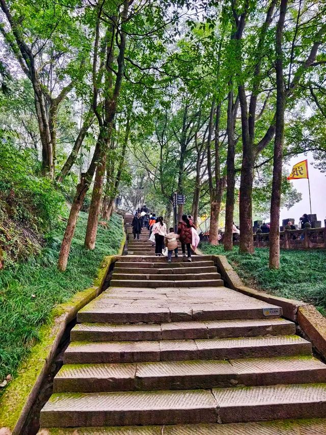 合川區    釣魚城景區-護國門