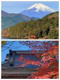 探索日本三島市：自然與文化嘅完美融合