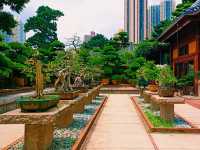 Hong Kong Bustling World: Complete Guide for Wonderlust Visitors