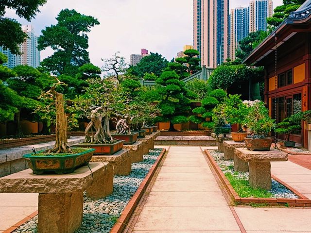 Hong Kong Bustling World: Complete Guide for Wonderlust Visitors
