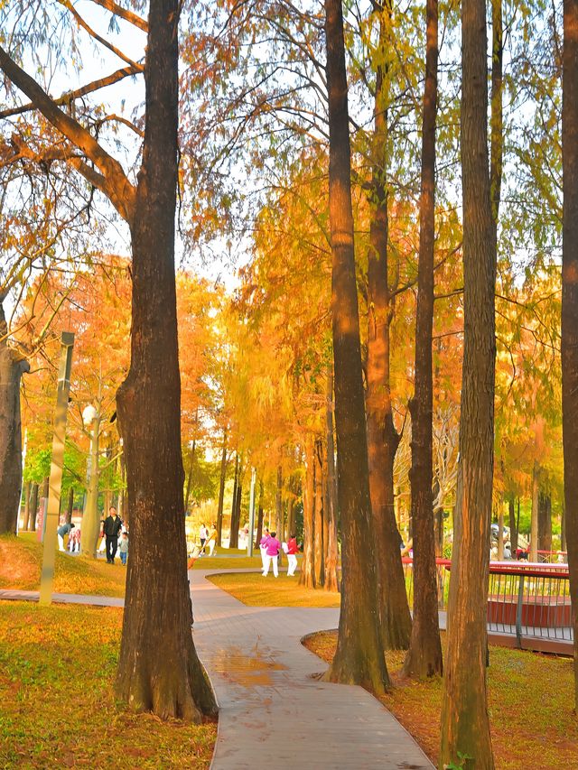 四海公園：飲咖啡、逛公園、曬太陽……