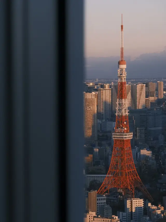 6-Day Japan Tour: A Super Practical Guide