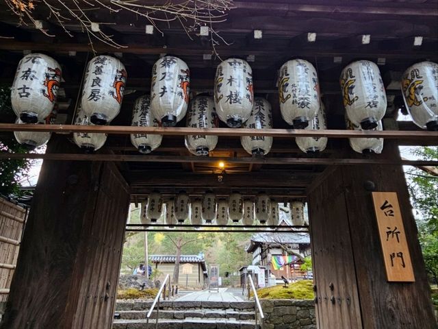 Wonders @Kiyomizu-dera 清水寺 