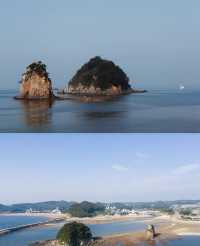 韓國旅行丨開滿了海棠花的安眠島也太美了