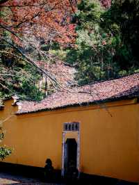 只需3天，即可體驗九寨溝-黃龍風景名勝區的壯麗景色，你值得擁有