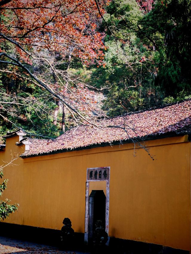 只需3天，即可體驗九寨溝-黃龍風景名勝區的壯麗景色，你值得擁有