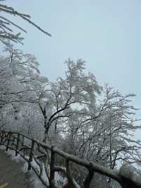 驚爆！龍頭山的美景，竟讓遊客不願返程