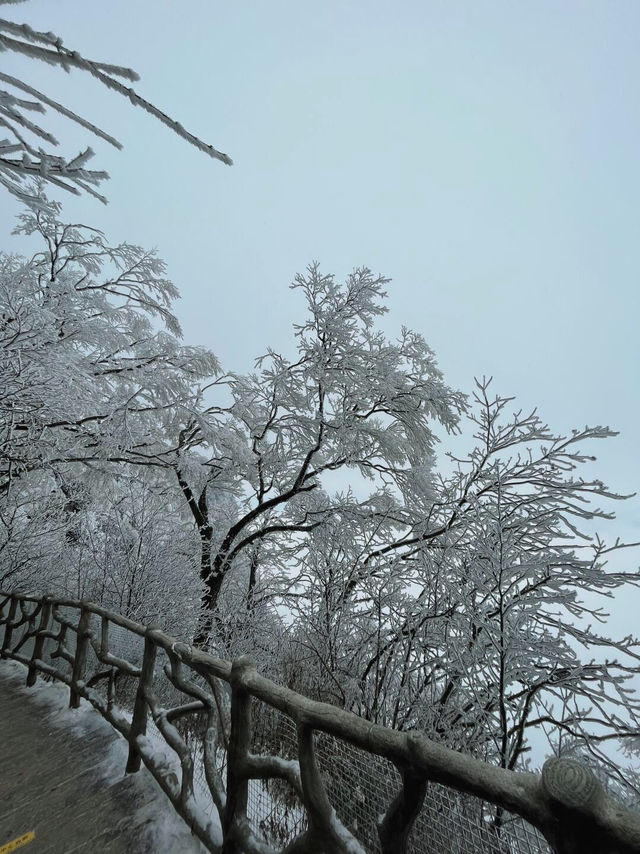 驚爆！龍頭山的美景，竟讓遊客不願返程