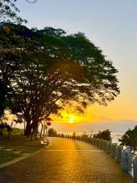 From Ducks to Sunsets: Exploring Shenzhen’s Stunning Parks