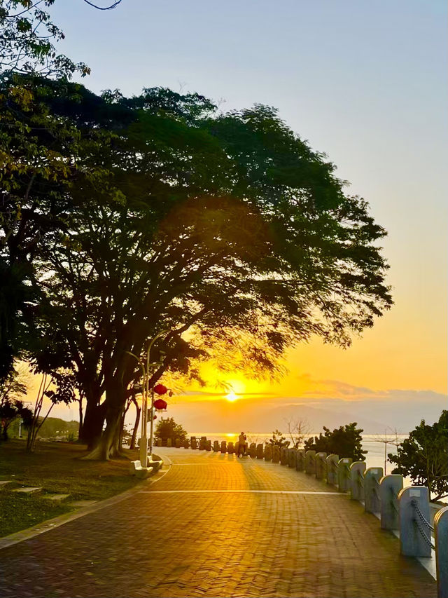 From Ducks to Sunsets: Exploring Shenzhen’s Stunning Parks