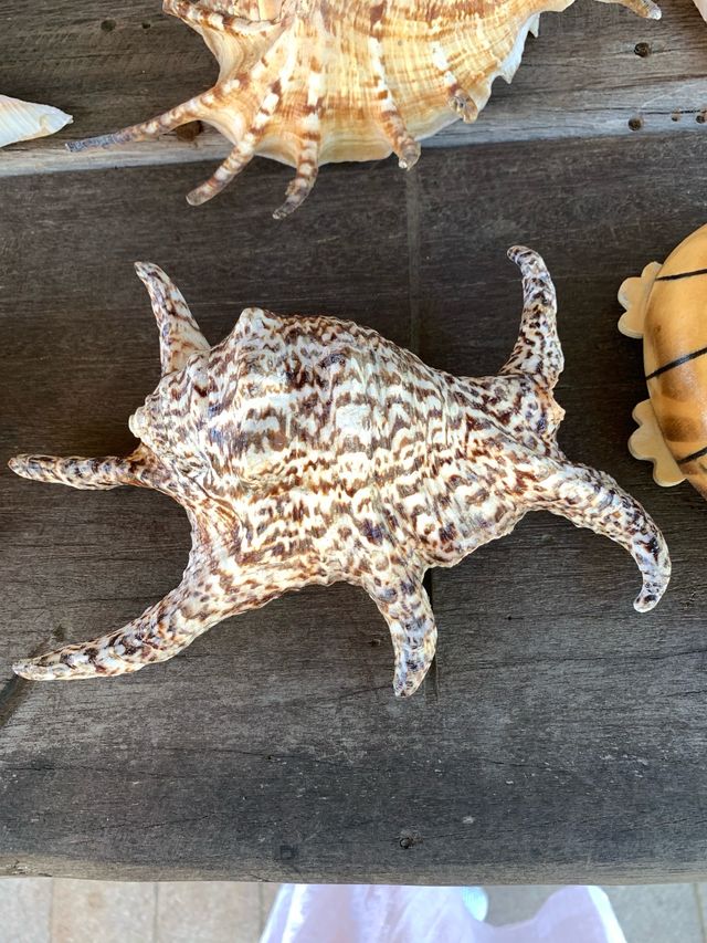 瓊海 值得一去再去