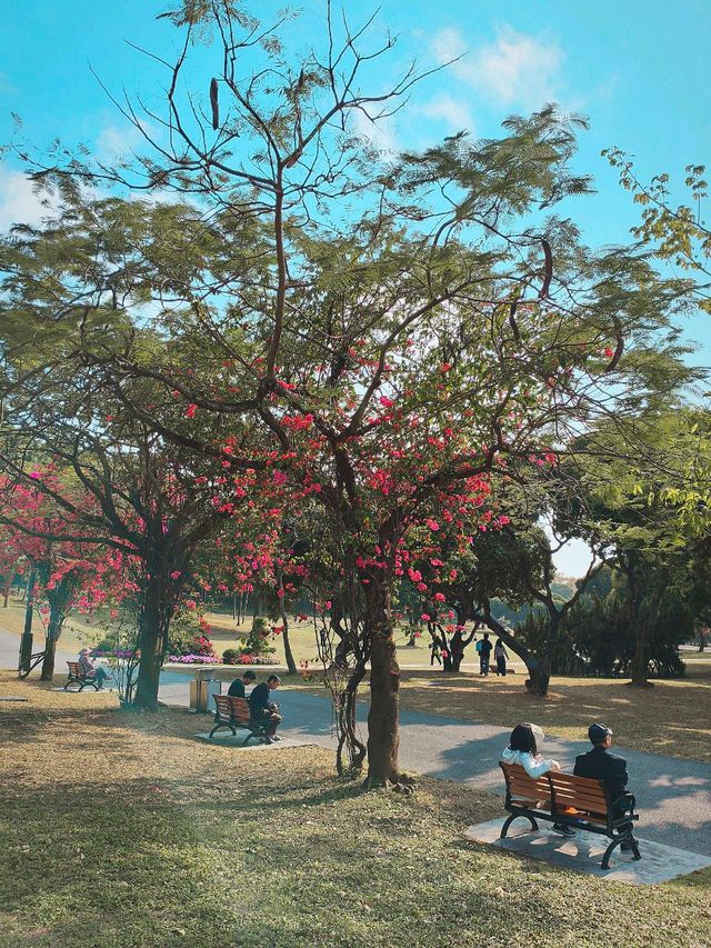 ZHONGSHAN PARK: 50 SHADES of GREEN ☘