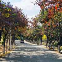 紫馬嶺公園自然與人文的悠閒之旅