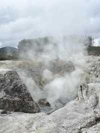 新西蘭帶娃探秘自然山水 親子遊新體驗