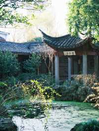 旅遊荒漠？不存在的！寧波，我玩了七天還不想走！