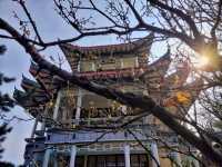 南山公園，殘雪消融，北國的春天已經來臨